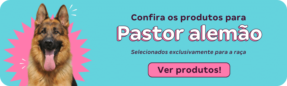 Pastor Alemão: Saiba mais no Guia de Bichos