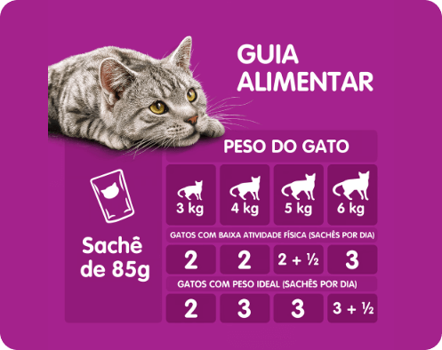 Banner sobre a quantidade diária recomendada da Ração Úmida Whiskas Sachê para Gatos Castrados sabor Carne