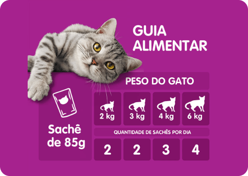 Sachê Purê Churu Galinha para Gatos com 4 unidades - 56g