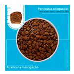 Foto-do-produto-Racao-Formula-Natural-Caes-Fresh-Meat-Adulto-Racas-Medias-1kg-no-petshop-online-da-Tudo-de-Bicho