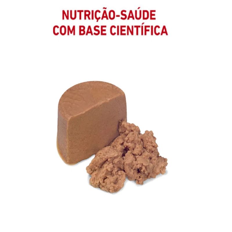 Foto-do-produto--Racao-Umida-Royal-Canin-Caes-Recovery-Lata-195g-no-petshop-online-da-Tudo-de-Bicho