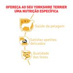 Foto-do-produto-Racao-Umida-Royal-Canin-Caes-Yorkshire-Terrier-Sache-85g-no-petshop-online-da-Tudo-de-Bicho