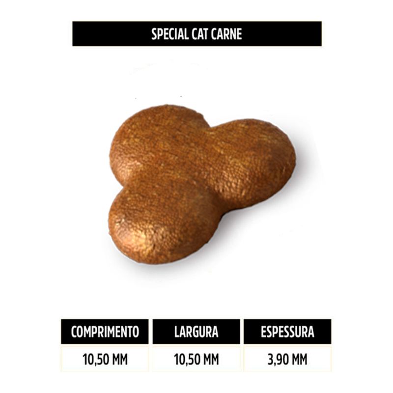 SPECIAL-CAT-CARNE-1_106722.jpg