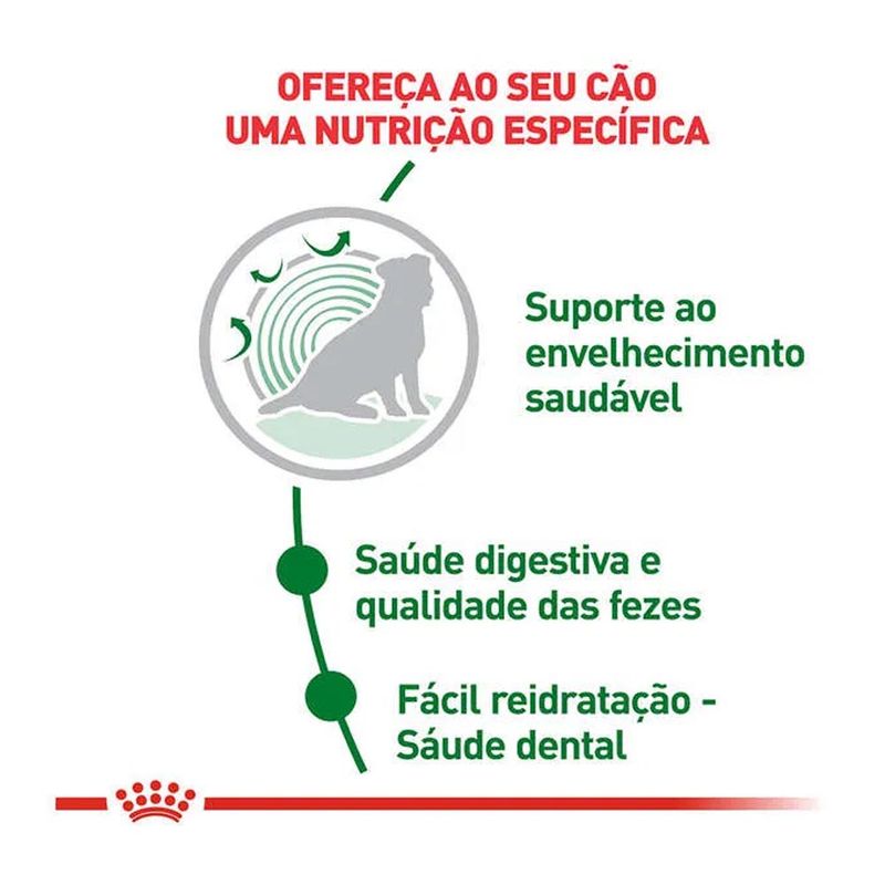 Foto-do-produto-Racao-Caes-Royal-Canin-Indoor-Senior-25kg-no-petshop-online-da-Tudo-de-Bicho