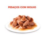 Foto-do-produto-Racao-Umida-Royal-Canin-Gatos-Instinctive-Sache-85g-no-petshop-online-da-Tudo-de-Bicho