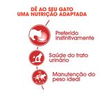 Foto-do-produto-Racao-Umida-Royal-Canin-Gatos-Instinctive-Sache-85g-no-petshop-online-da-Tudo-de-Bicho