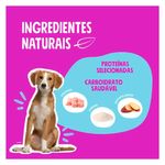 Foto-do-produto-Racao-Quatree-Select-Caes-Filhotes-Racas-Medias-e-Grandes-Frango-e-Arroz---3kg-no-petshop-online-da-Tudo-de-Bicho