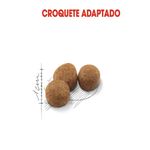 Foto-do-produto-Racao-Royal-Canin-Gatos-Sterilised-15kg-no-petshop-online-da-Tudo-de-Bicho