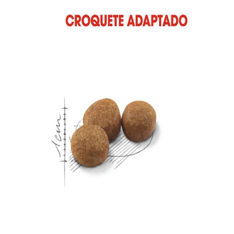 Foto-do-produto-Racao-Royal-Canin-Gatos-Sterilised-15kg-no-petshop-online-da-Tudo-de-Bicho