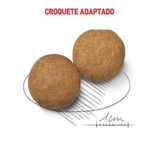 Foto-do-produto-Racao-Caes-Royal-Canin-Medium-Adultos-15kg-no-petshop-online-da-Tudo-de-Bicho