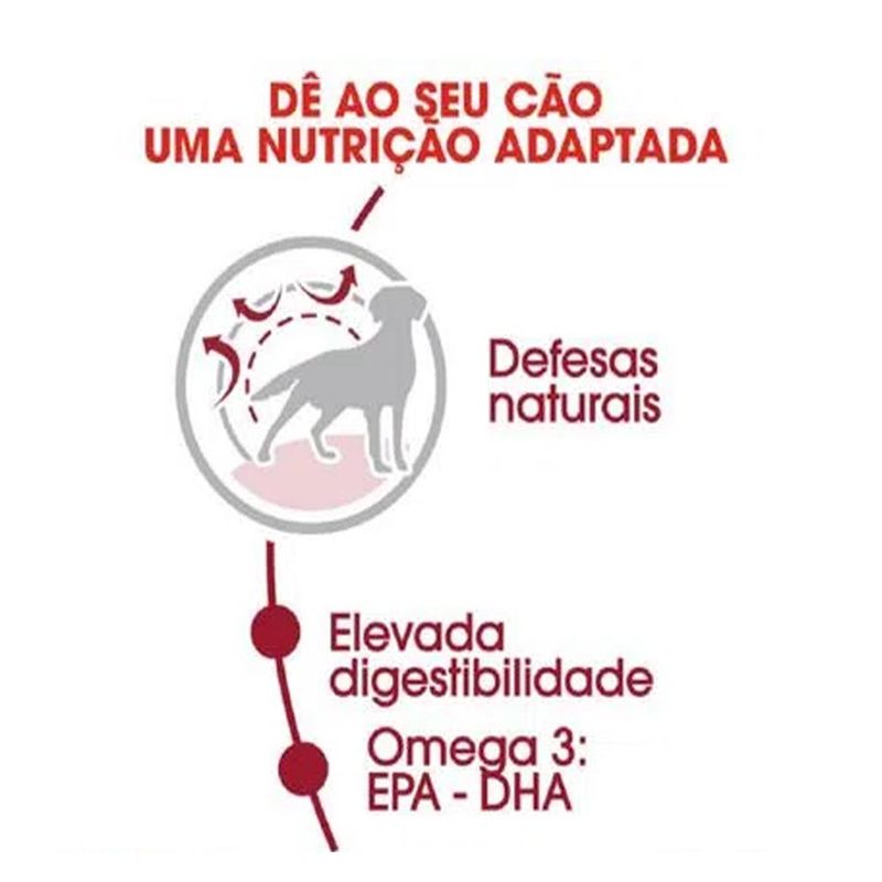 Foto-do-produto-Racao-Caes-Royal-Canin-Medium-Adultos-15kg-no-petshop-online-da-Tudo-de-Bicho