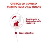 Foto-do-produto-Racao-Caes-Royal-Canin-Medium-Puppy-Jr.-15kg-no-petshop-online-da-Tudo-de-Bicho
