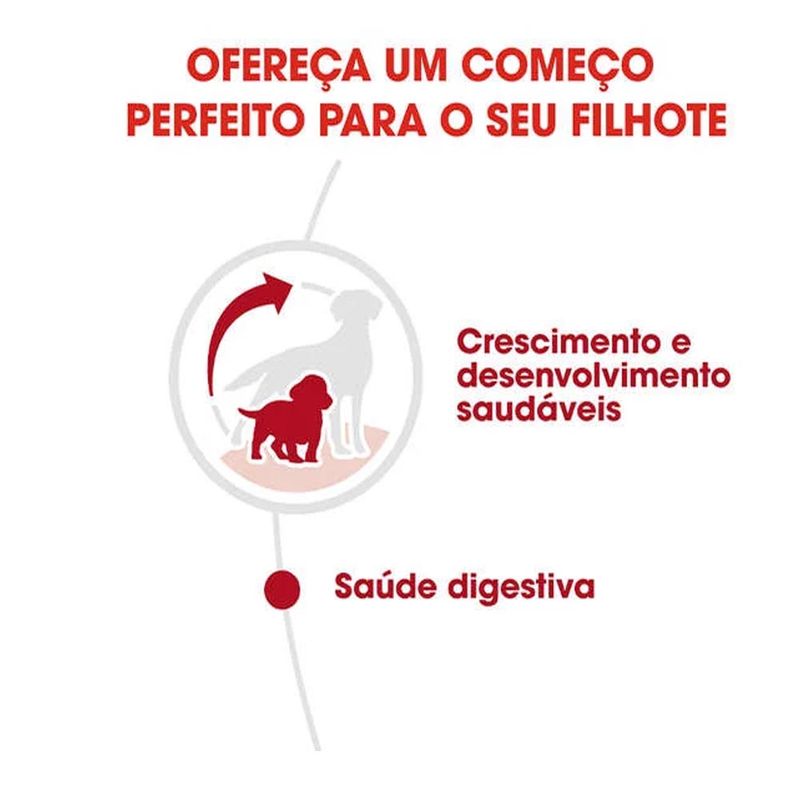 Foto-do-produto-Racao-Caes-Royal-Canin-Medium-Puppy-Jr.-15kg-no-petshop-online-da-Tudo-de-Bicho