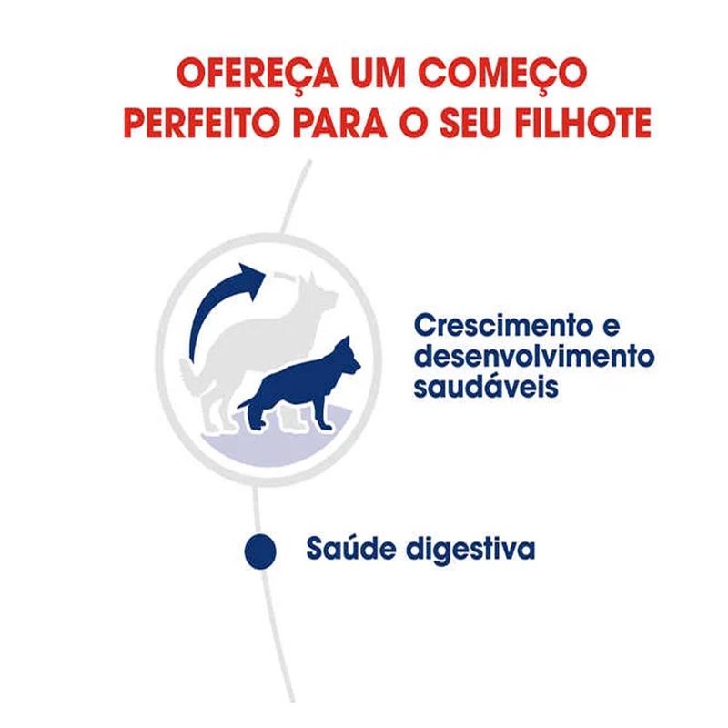 Foto-do-produto-Racao-Caes-Royal-Canin-Maxi-Puppy-Jr.-15kg-no-petshop-online-da-Tudo-de-Bicho