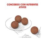 Foto-do-produto-Racao-Caes-Royal-Canin-Mini-Digestive-Care-1kg-no-petshop-online-da-Tudo-de-Bicho