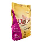 Foto-do-produto-Racao-Quatree-Gourmet-Gatos-Castrados-Mix-De-Carnes-1kg-no-petshop-online-da-Tudo-de-Bicho