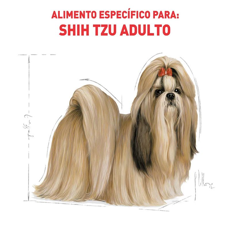 Foto-do-produto-Racao-Caes-Royal-Canin-Shih-Tzu-Adultos-1kg-no-petshop-online-da-Tudo-de-Bicho