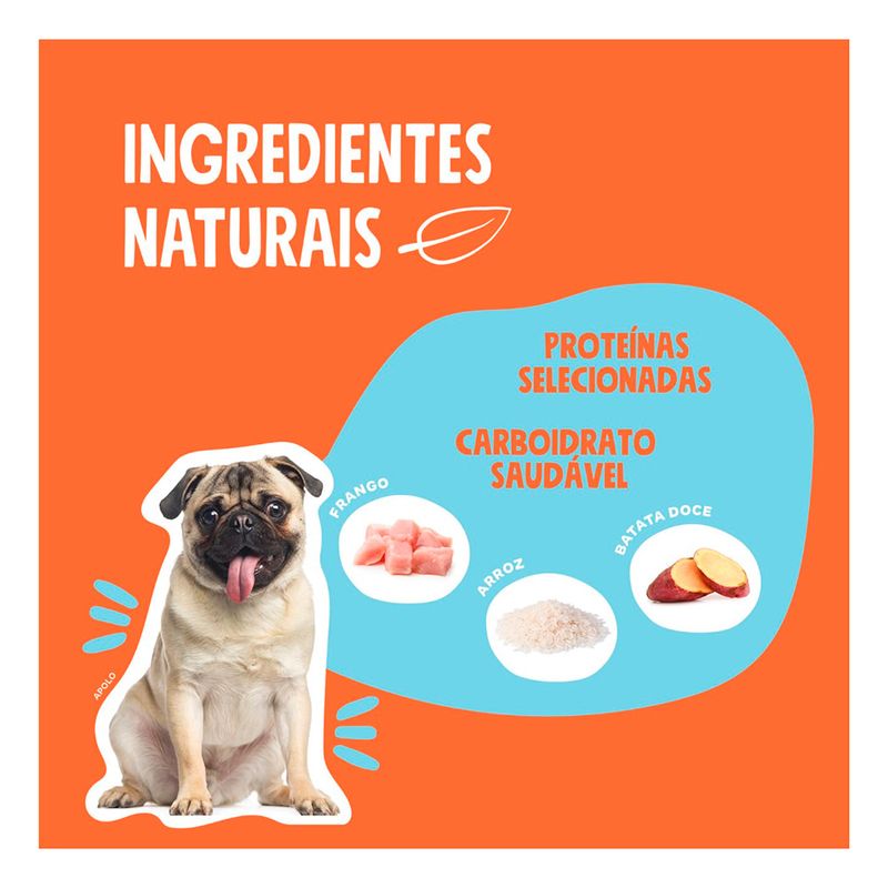 Foto-do-produto-Racao-Quatree-Select-Caes-Adultos-Racas-Pequenas-Frango-e-Arroz---1kg-no-petshop-online-da-Tudo-de-Bicho