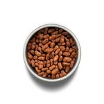 Foto-do-produto-Racao-Guabi-Natural-Caes-Adultos-Racas-Medias-Salmao-e-Cevada-12kg-no-petshop-online-da-Tudo-de-Bicho