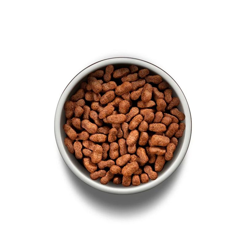Foto-do-produto-Racao-Guabi-Natural-Caes-Adultos-Racas-Medias-Salmao-e-Cevada-12kg-no-petshop-online-da-Tudo-de-Bicho