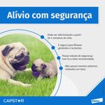 Foto-do-produto-Antipulgas-Capstar-57mg-Para-Caes-De-114kg-a-57kg-C-6-Comprimidos-no-petshop-online-da-Tudo-de-Bicho