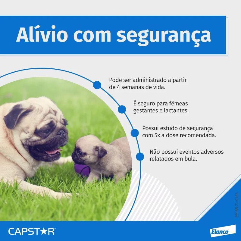 Foto-do-produto-Antipulgas-Capstar-57mg-Para-Caes-De-114kg-a-57kg-C-6-Comprimidos-no-petshop-online-da-Tudo-de-Bicho