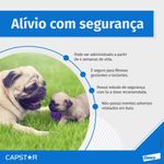 Foto-do-produto-Antipulgas-Capstar-57mg-Para-Caes-De-114kg-a-57kg-C-1-Comprimidos-no-petshop-online-da-Tudo-de-Bicho