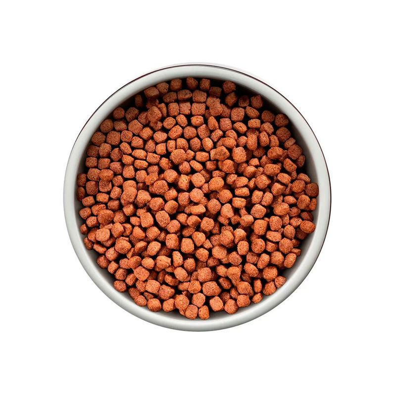 Foto-do-produto-Racao-Guabi-Natural-Caes-Filhotes-Racas-Medias-Frango-e-Arroz-Integral-15kg-no-petshop-online-da-Tudo-de-Bicho