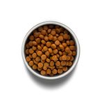 Foto-do-produto-Racao-Guabi-Natural-Caes-Grain-Free-Adultos-Racas-Medias-Frango-e-Lentilha-12kg-no-petshop-online-da-Tudo-de-Bicho