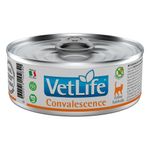 Foto-do-produto-Racao-Umida-Vet-Life-Gatos-Convalescence-85g-no-petshop-online-da-Tudo-de-Bicho