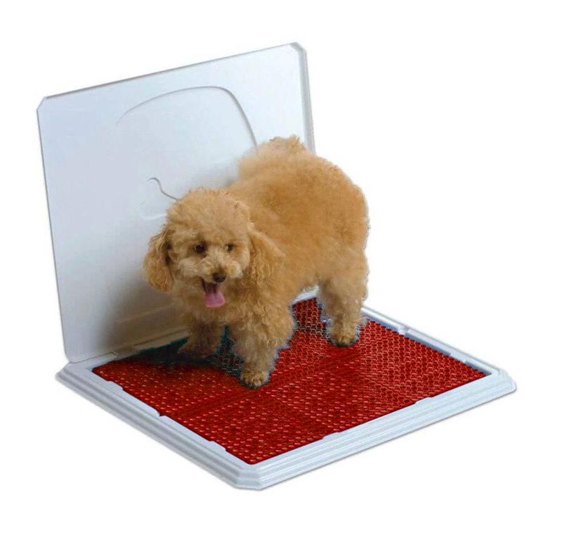 Foto-do-produto-Sanitario-Higienico-Pipi-Place-Macho-Vermelho-Animalissimo-no-petshop-online-da-Tudo-de-Bicho