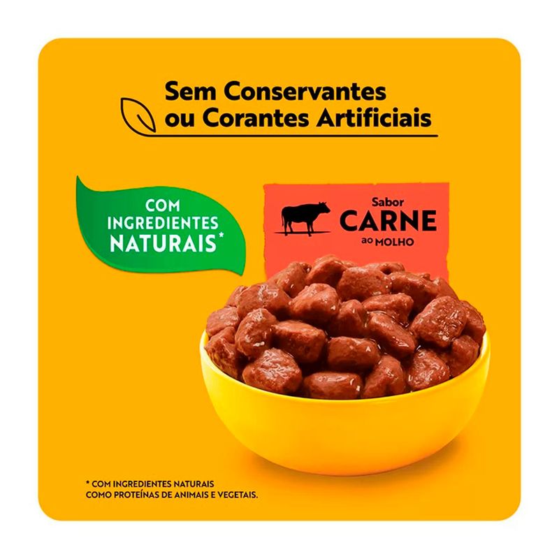 Foto-do-produto-Racao-Umida-Pedigree-Caes-Adultos-Racas-Pequenas-Carne-ao-Molho-Sache-100g-no-petshop-online-da-Tudo-de-Bicho