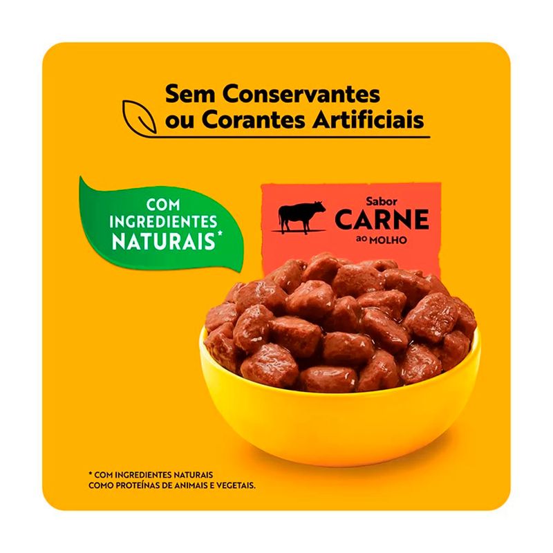 Foto-do-produto-Racao-Umida-Pedigree-Caes-Adultos-Racas-Medias-e-Grande-Carne-ao-Molho-Sache-100g-no-petshop-online-da-Tudo-de-Bicho