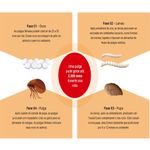 Foto-do-produto-Invicto-Antipulgas-para-Caes-Dechra-57mg-6-Comprimidos-no-petshop-online-da-Tudo-de-Bicho