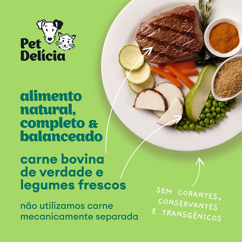 Foto-do-produto-Racao-Umida-Pet-Delicia-Caes-Panelinha-de-Carne-320g-no-petshop-online-da-Tudo-de-Bicho