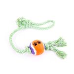 Foto-do-produto-Brinquedo-Caes-The-Pets-Corda-C-Bola-De-Tenis-no-petshop-online-da-Tudo-de-Bicho