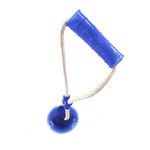 Foto-do-produto-Brinquedo-Caes-The-Pets-Mordedor-Puxador-Ventosa-Azul-no-petshop-online-da-Tudo-de-Bicho