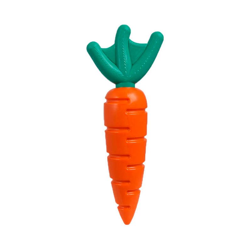Foto-do-produto-Brinquedo-Caes-Buddy-Toys-Cenoura-Nylon-no-petshop-online-da-Tudo-de-Bicho
