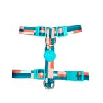 Foto-do-produto-Peitoral-Caes-Tutelo-Geometrico-PP-no-petshop-online-da-Tudo-de-Bicho