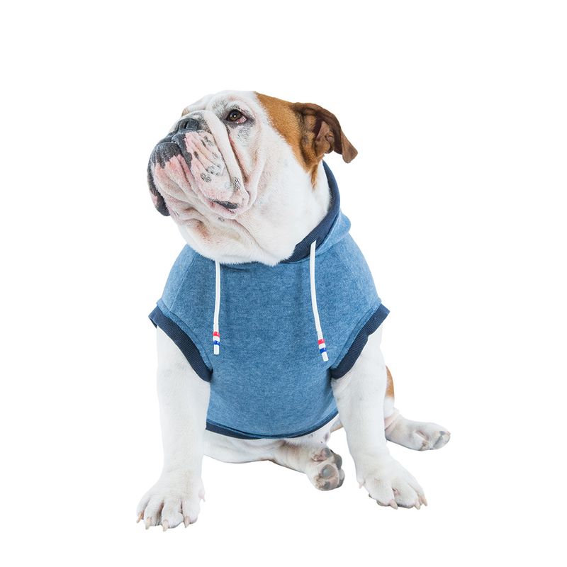 Foto-do-produto-Roupa-Caes-Tutelo-Moletom-Comfy-Azul-PP-no-petshop-online-da-Tudo-de-Bicho