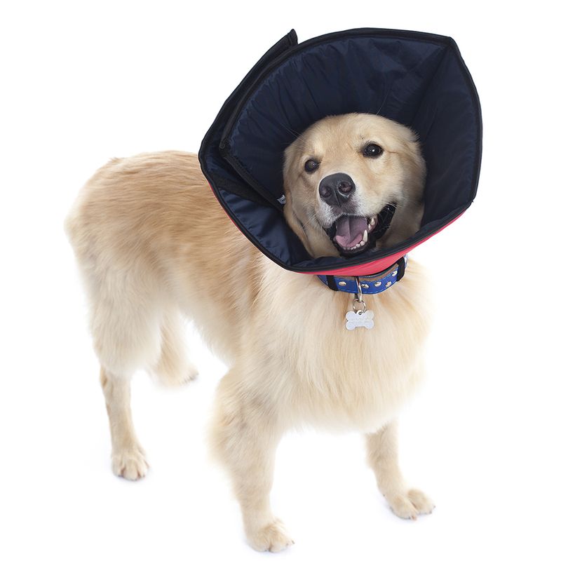 Foto-do-produto-Colar-Elizabetano-Conforto-Pet-Med-Color-1-no-petshop-online-da-Tudo-de-Bicho