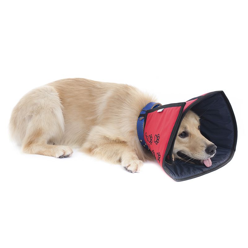 Foto-do-produto-Colar-Elizabetano-Conforto-Pet-Med-Color-1-no-petshop-online-da-Tudo-de-Bicho