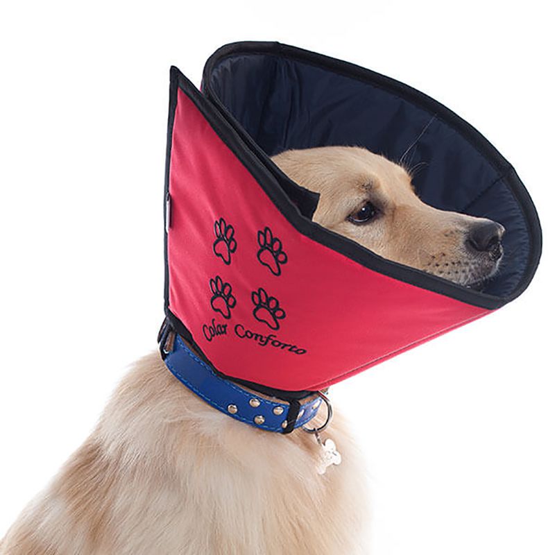 Foto-do-produto-Colar-Elizabetano-Conforto-Pet-Med-Color-1-no-petshop-online-da-Tudo-de-Bicho