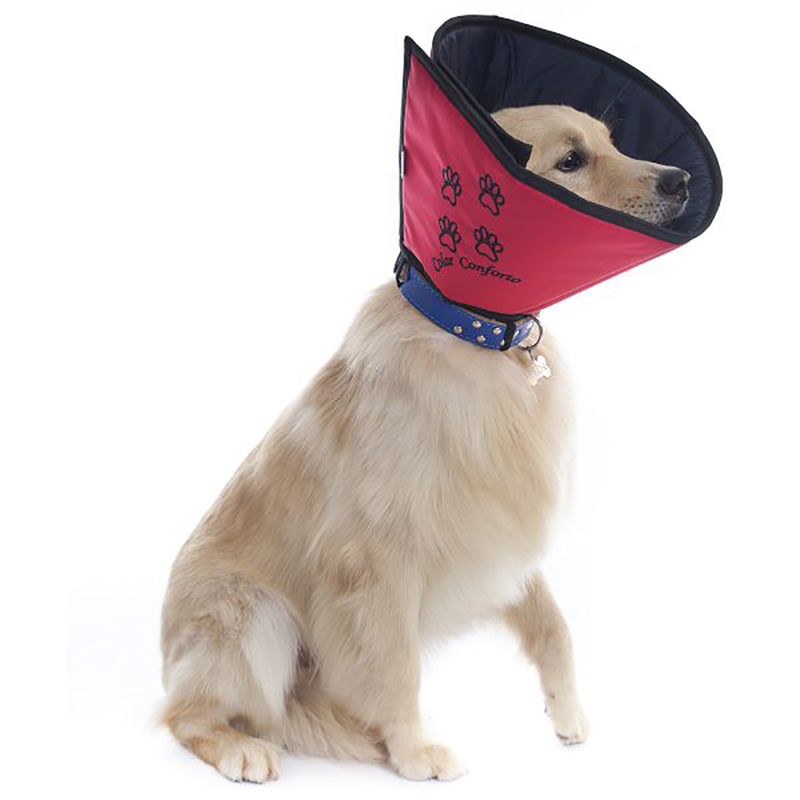 Foto-do-produto-Colar-Elizabetano-Conforto-Pet-Med-Color-1-no-petshop-online-da-Tudo-de-Bicho