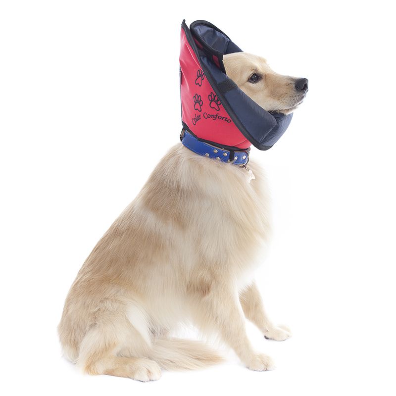 Foto-do-produto-Colar-Elizabetano-Conforto-Pet-Med-Color-1-no-petshop-online-da-Tudo-de-Bicho