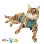 Foto-do-produto-Roupa-Pos-Cirurgica-Gato-Duo-Dry-Verde-Pet-Med-4-no-petshop-online-da-Tudo-de-Bicho