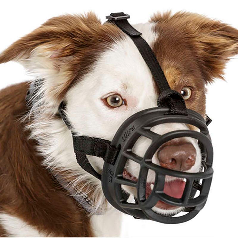 Foto-do-produto-Focinheira-Caes-Baskerville-Preta-P-no-petshop-online-da-Tudo-de-Bicho
