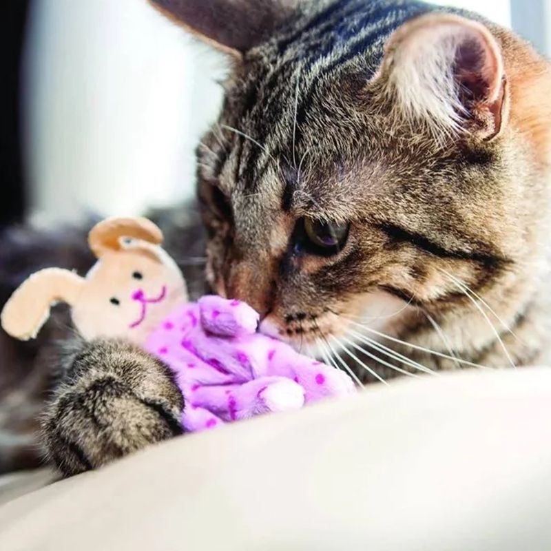 Foto-do-produto-Brinquedo-Interativo-Gatos-Kong-Pijama-Buddy-no-petshop-online-da-Tudo-de-Bicho