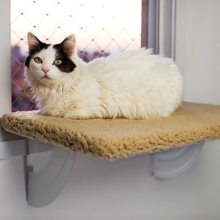 Foto-do-produto-Prateleira-Cama-Para-Gatos-Spacecat-Lunar-Gatton-no-petshop-online-da-Tudo-de-Bicho