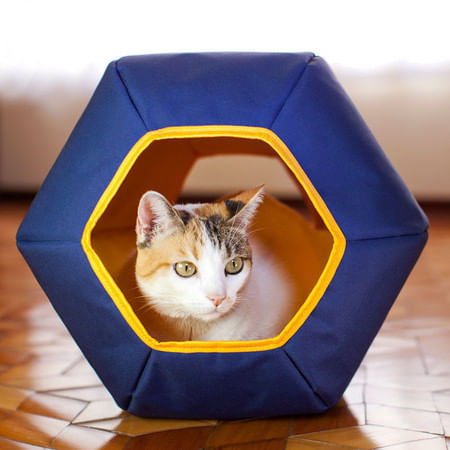 Foto-do-produto-Toca-Para-Gatos-Gatton-Mundi-Azul-no-petshop-online-da-Tudo-de-Bicho
